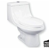 Project Source Huali Dual Flush 1-Piece Elongate Toilet