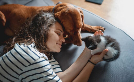 Prime Big Deal Days - Best Pet Supply Savings
