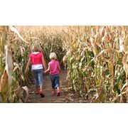 $18 for a Fun-Farm Visit for Two with a Friendly Fire Game ($32 Value)
