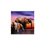 3 Elephants Wall Art - $59.99 (Up to 50% off)