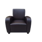 Home Decorators Collection Bonded Leather Club Chair - $147.00