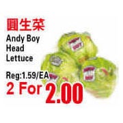 Andy Boy Head Lettuce - 2/$2.00