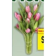 10 Stem Tulips - $6.00