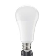 Noma Led A21 100w Light Bulbs, Soft White, 4-pk - $20.99 ($14.00 Off)