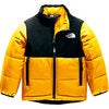 The North Face North Peak Insulated Jacket - Youths - $76.99 ($33.00 Off)