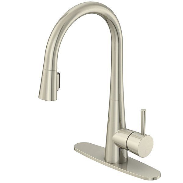 Lowe 039 S Aquasource Pull Down Kitchen Faucet Stainless Steel