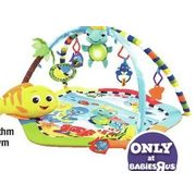 rhythm of the reef play gym