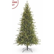 Glucksteinhome 7-Foot Norway Spruce Tree  - $169.99