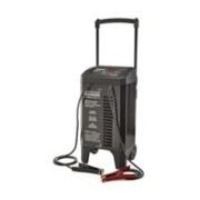 Motomaster Workshop Series Battery Charger With 250A Engine Start - $255.99 (20% off)