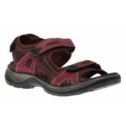 Ecco 2025 yucatan aubergine