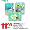 Pampers Splashers, Jumbo Diapers Or Training Pants  - $11.99/pkg
