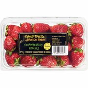 Farmer's Market Strawberries - $5.00