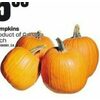 Pumpkins  - $5.99
