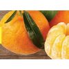 Stem & Leaf Clementines - $1.99/lb