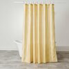 Home Styles Shower Curtain - $10.00