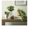 Spring Greenery & Containers by Ashland - BOGO Free