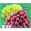 Extra Large Seedless Red or Green Grapes - $3.99/lb