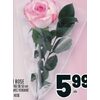 1 Rose - $5.99